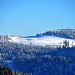Discover the French Riviera in Winter