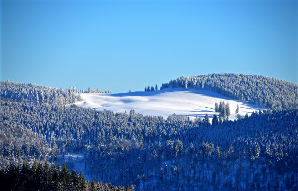 Discover the French Riviera in Winter